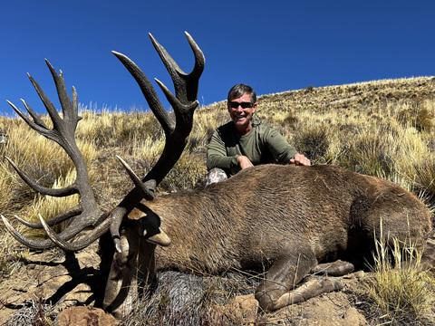 Argentina Red Stag in the famed Patagonia