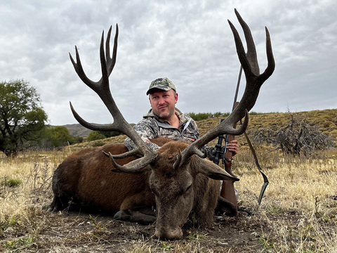 Argentina Red Stag in the famed Patagonia