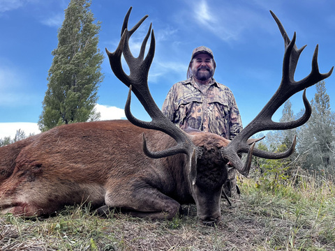 Argentina Red Stag in the famed Patagonia
