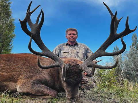 Argentina Red Stag in the famed Patagonia