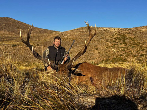 Argentina Red Stag in the famed Patagonia