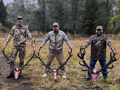 Argentina Red Stag in the famed Patagonia