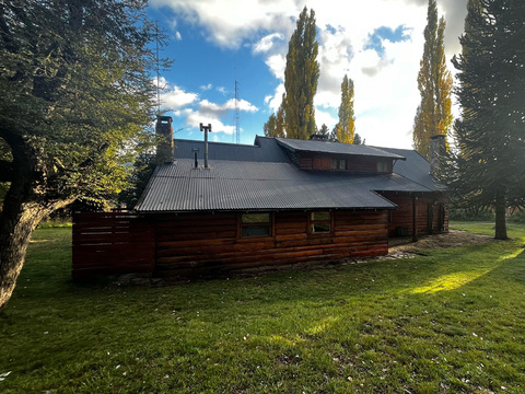 Argentina Red Stag in the famed Patagonia