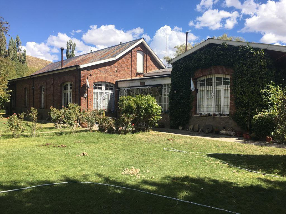Argentina Red Stag in the famed Patagonia