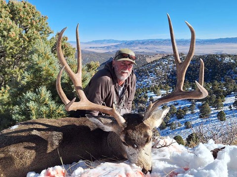 Top Quality Nevada Mule Deer Bucks