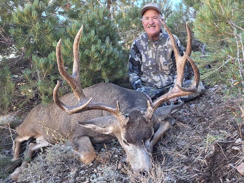 Top Quality Nevada Mule Deer Bucks