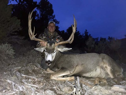 Top Quality Nevada Mule Deer Bucks