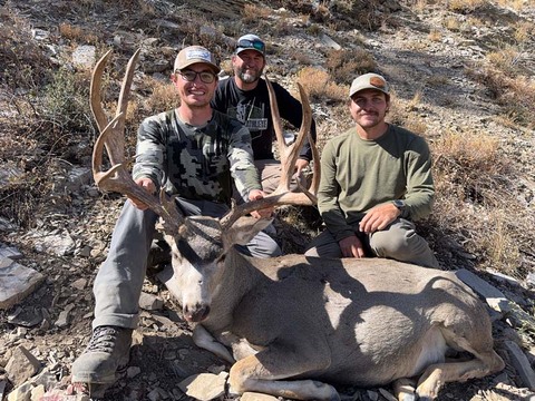 Top Quality Nevada Mule Deer Bucks