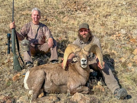 Nevada Desert Bighorn and California Bighorn