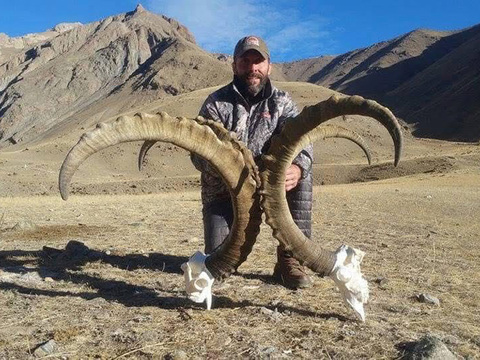 Mid-Asian Ibex in Kyrgyzstan