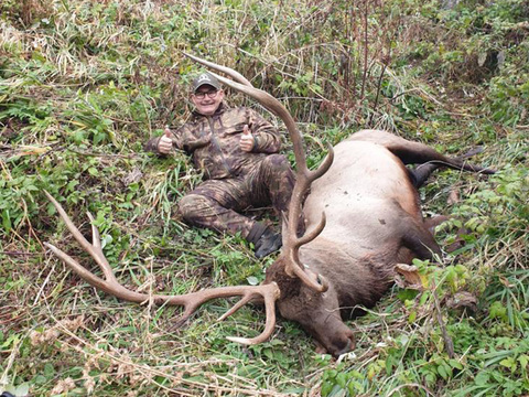 Asian Elk - Maral hunts in Kazakhstan