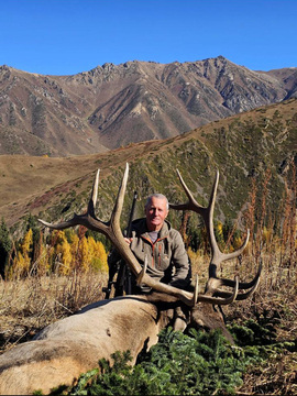 Asian Elk - Maral hunts in Kazakhstan