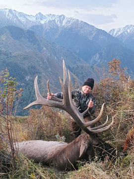 Asian Elk - Maral hunts in Kazakhstan