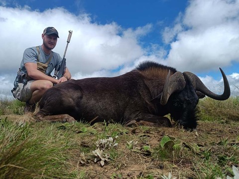 South Africa Beginners 7 Animal Safari