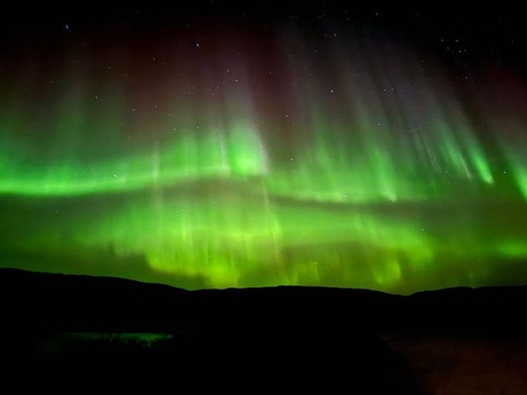 Premier Muskox Hunting in Greenland – An Arctic Adventure