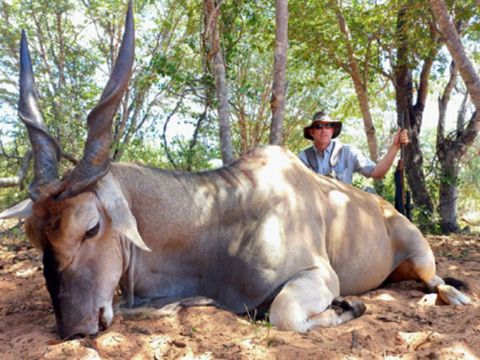 Eland, Kudu and Giraffe 7-day Safari