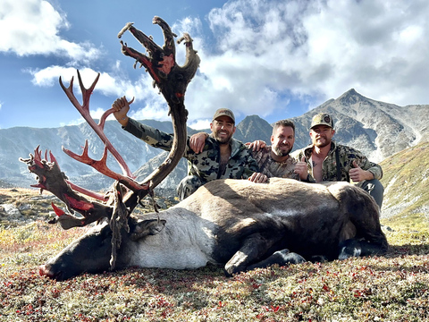 Mountain Caribou in Northern BC