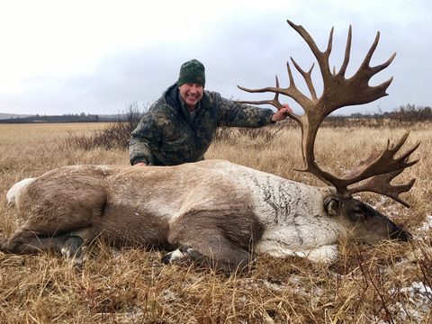 Mountain Caribou in Northern BC