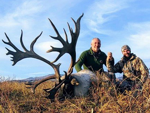 Mountain Caribou in Northern BC