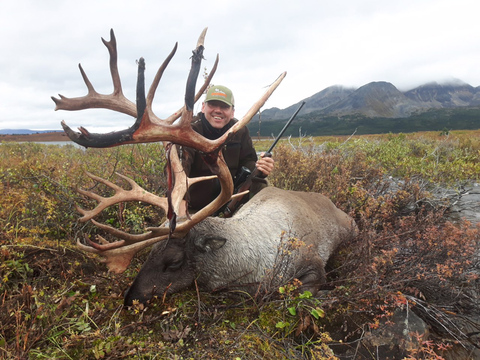Mountain Caribou in Northern BC
