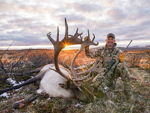 Mountain Caribou in Northern BC