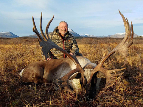 Mountain Caribou in Northern BC