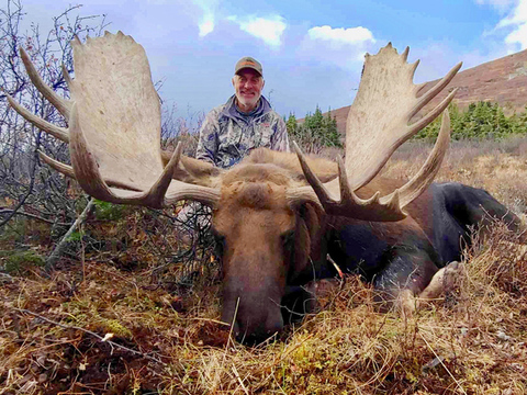 Northern BC Canadian Moose