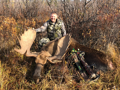 Northern BC Canadian Moose