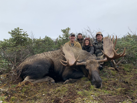 Northern BC Canadian Moose
