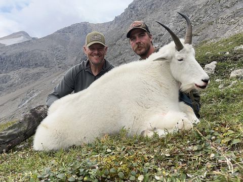 British Columbia Mountain Goat