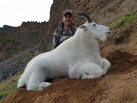 British Columbia Mountain Goat