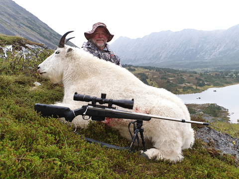 British Columbia Mountain Goat