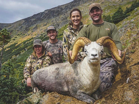 Cassiar Mountains Stone Sheep 