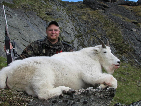 Large Bodied Yukon Mountain Goat 