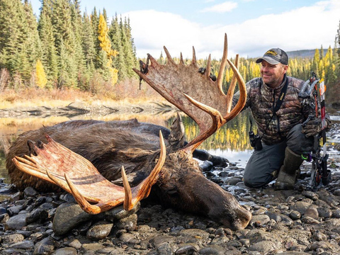 Giant Yukon Bull Moose