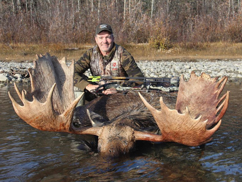 Giant Yukon Bull Moose