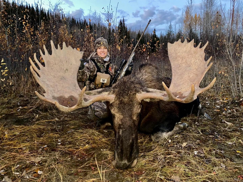 Giant Yukon Bull Moose