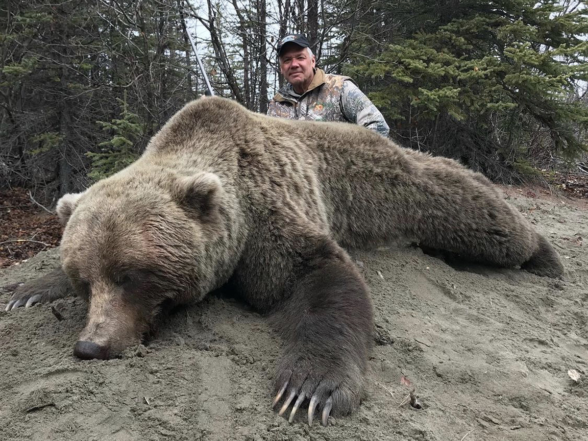 Yukon Monster Mountain Grizzly Bear