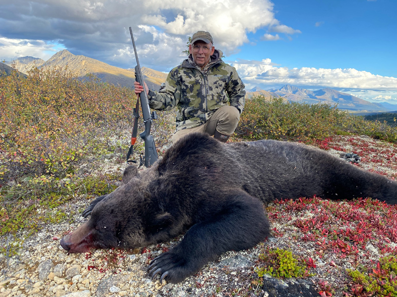 Yukon Monster Mountain Grizzly Bear