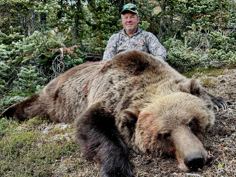 Yukon Monster Mountain Grizzly Bear