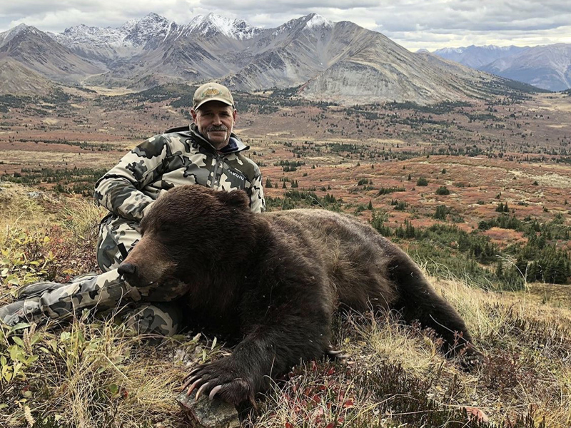 Yukon Monster Mountain Grizzly Bear