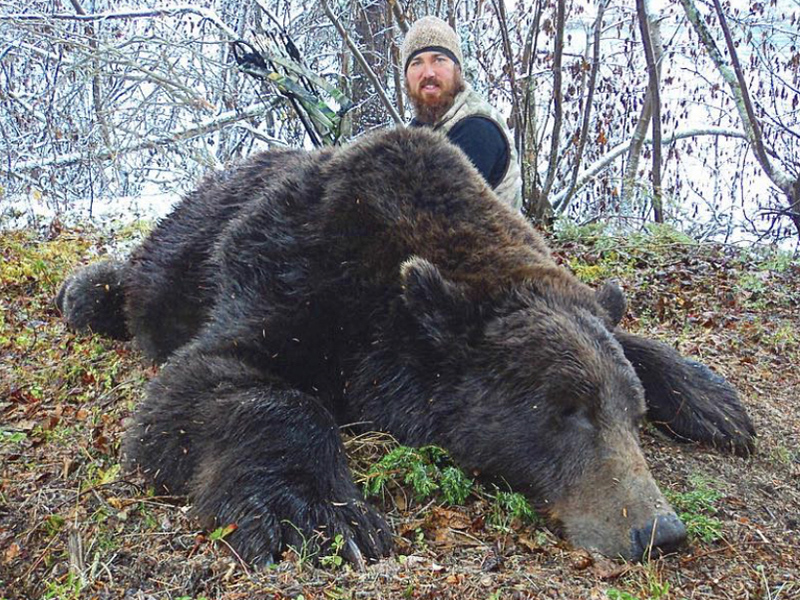 Yukon Monster Mountain Grizzly Bear