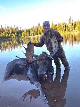 Trophy Canadian Moose Hunt in British Columbia
