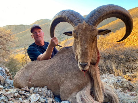 Trophy Texas Aoudad on Private Land 