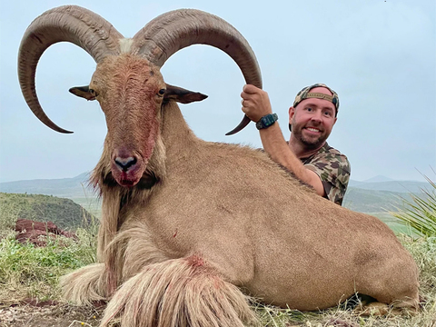 Trophy Texas Aoudad on Private Land 